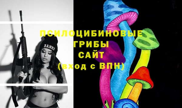 2c-b Беломорск