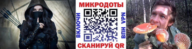 Галлюциногенные грибы MAGIC MUSHROOMS  darknet телеграм  Городец 