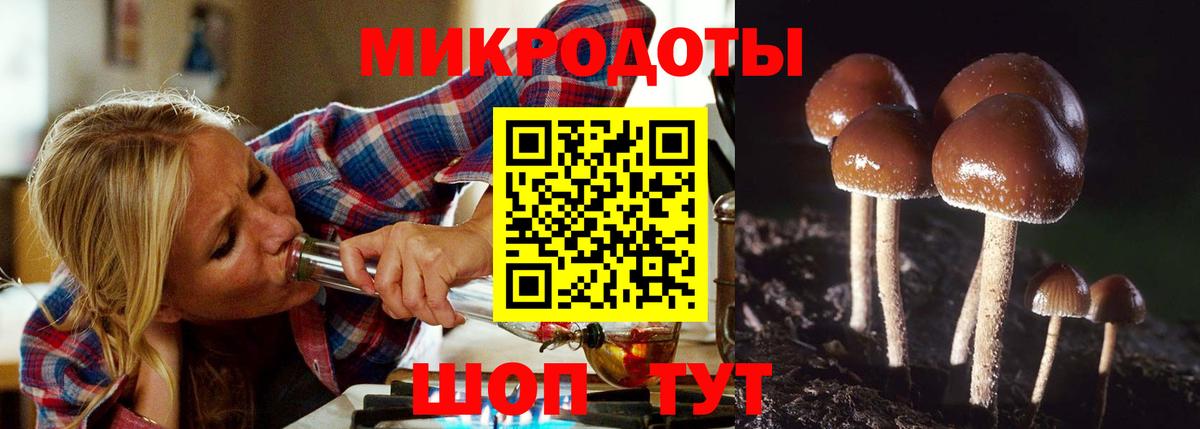 Городец  Галлюциногенные грибы ЛСД  Вход с VPN 